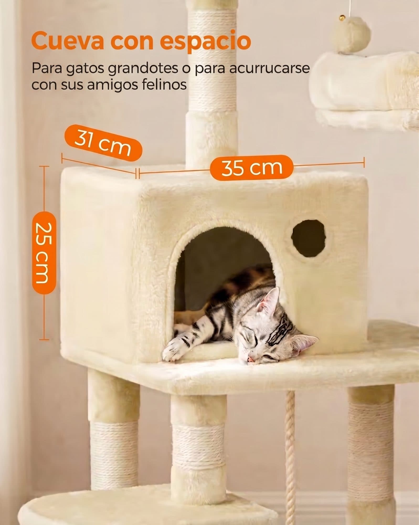 cueva-gatos-grande-medidas